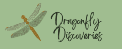 Dragonfly Discoveries